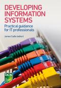 Developing Information Systems
