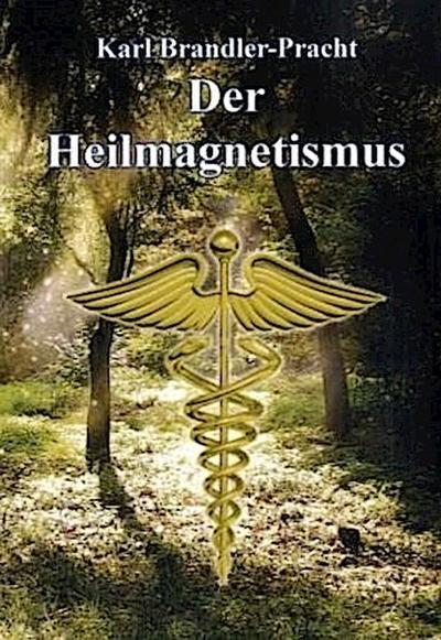 Der Heilmagnetismus