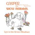 Casper the Slow Rabbit