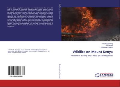 Wildfire on Mount Kenya