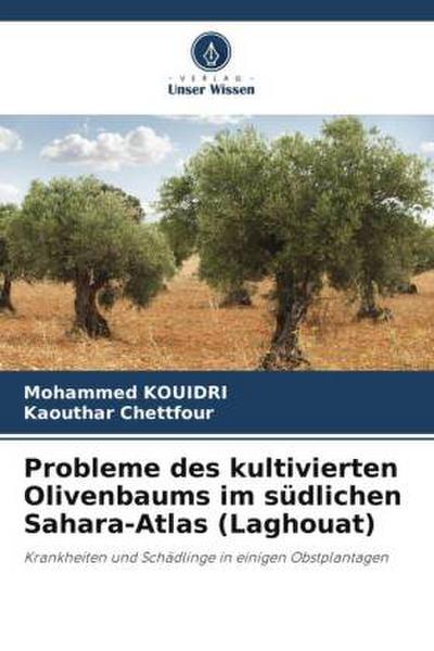 Probleme des kultivierten Olivenbaums im südlichen Sahara-Atlas (Laghouat)