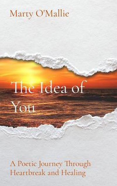 The Idea of You