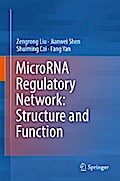 MicroRNA Regulatory Network: Structure and Function