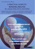 A Practical Guide to Bonding Analysis. Bonding-Related Support in Pregnancy Presented by "APPA" (Academy-To-Promote-Prenatal-Attachment)