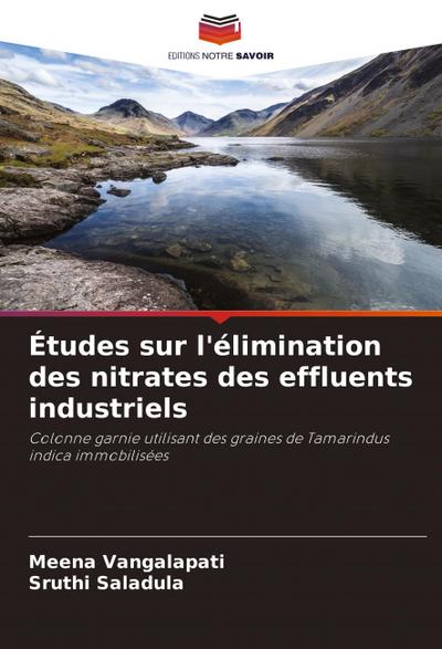 Études sur l’élimination des nitrates des effluents industriels
