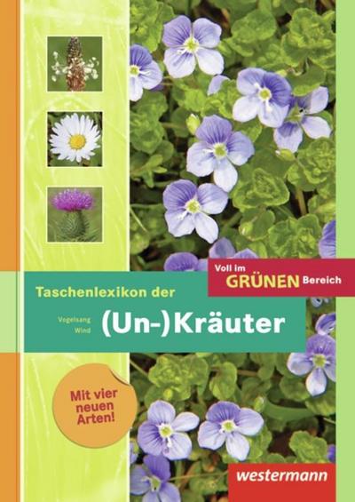 Voll im grünen Bereich. Schülerband