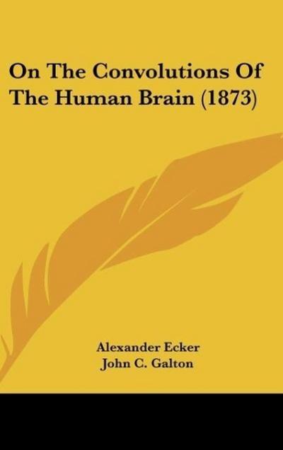 On The Convolutions Of The Human Brain (1873)