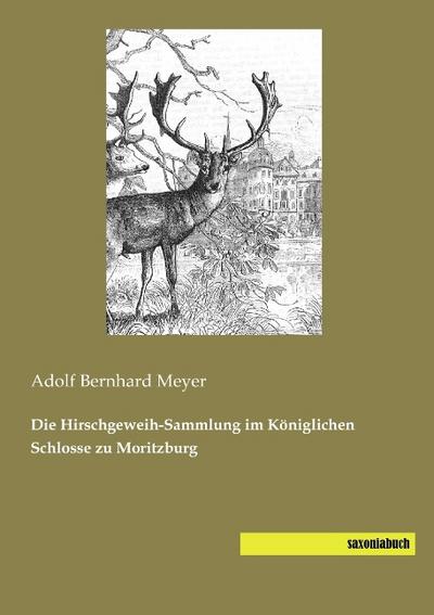 Die Hirschgeweih-Sammlung im Königlichen Schlosse zu Moritzburg