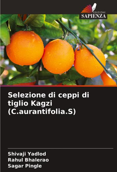 Selezione di ceppi di tiglio Kagzi (C.aurantifolia.S)