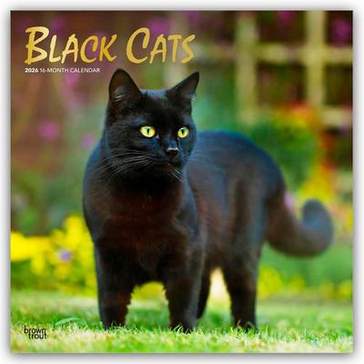 Black Cats - Schwarze Katzen 2026 - 16-Monatskalender