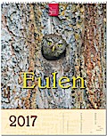 Eulen 2017 - Ein Notiz-Kalender - Tierfotoagentur