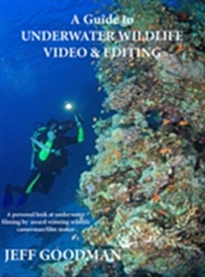 Guide to Underwater Wildlife Video & Editing