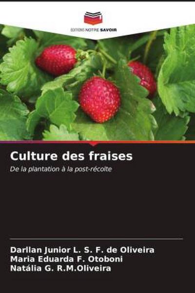 Culture des fraises