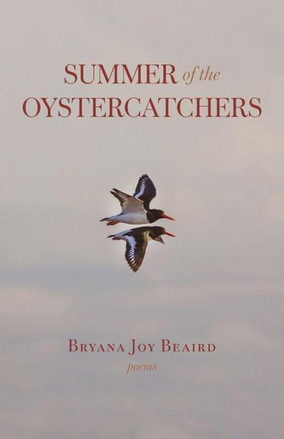 Summer of the Oystercatchers