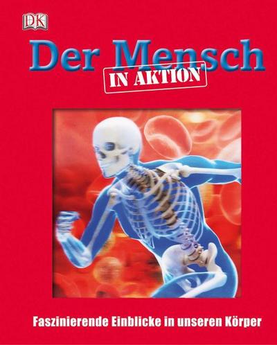 Der Mensch in Aktion: Faszinierende Einblicke in unseren Körper