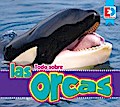Todo sobre las orcas
