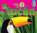 Animales de la Selva Amazónica — El tucán