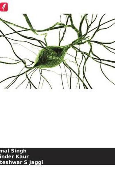 Canais K no mecanismo cerebroprotetor do pós-condicionamento isquémico