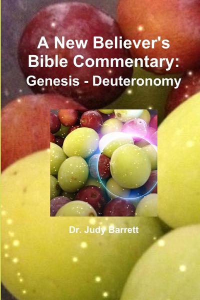 A New Believer’s Bible Commentary