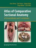 Atlas of Comparative Sectional Anatomy of 6 invert