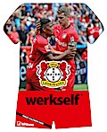 Bayer 04 Leverkusen Trikotkalender 2020