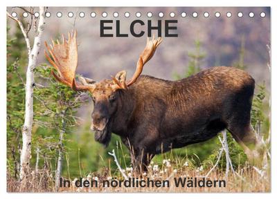 ELCHE In den nördlichen Wäldern (Tischkalender 2026 DIN A5 quer), CALVENDO Monatskalender