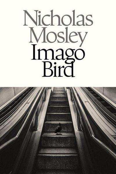 Imago Bird