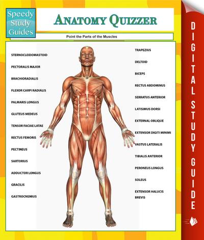 Anatomy Quizzer (Speedy Study Guides)