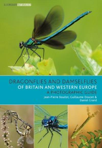 Dragonflies and Damselflies of Britain and Western Europe