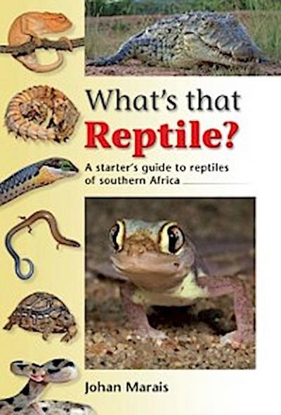What’s that Reptile?
