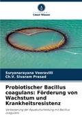 Probiotischer Bacillus coagulans: Förderung von Wa