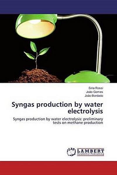 Syngas production by water electrolysis