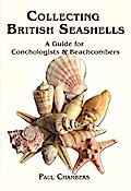 British Seashells