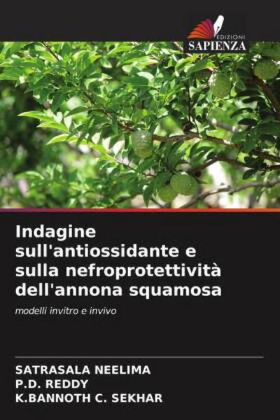 Indagine sull’antiossidante e sulla nefroprotettività dell’annona squamosa