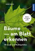 Bäume - am Blatt erkennen