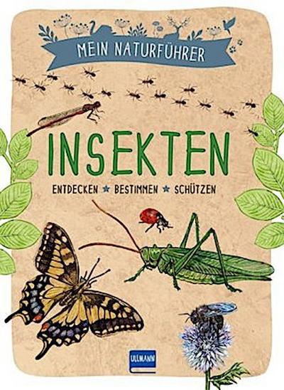 Mein Naturführer Insekten