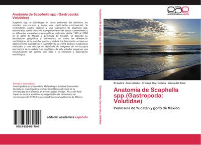 Anatomía de Scaphella spp.(Gastropoda: Volutidae)