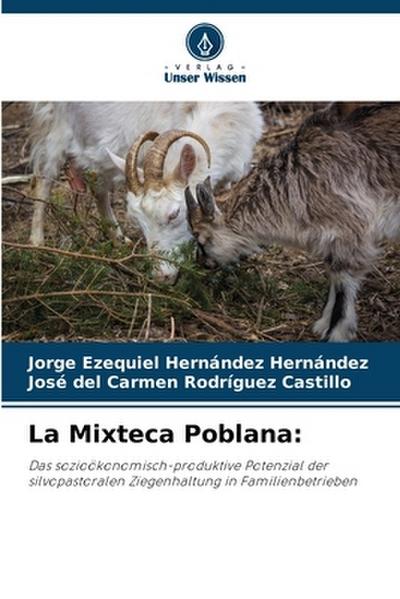 La Mixteca Poblana: