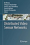 Distributed Video Sensor Networks