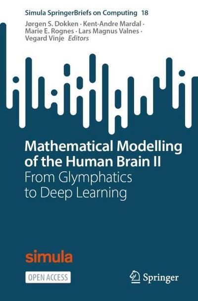 Mathematical Modelling of the Human Brain II