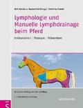 Lymphologie und Manuelle Lymphdrainage beim Pferd