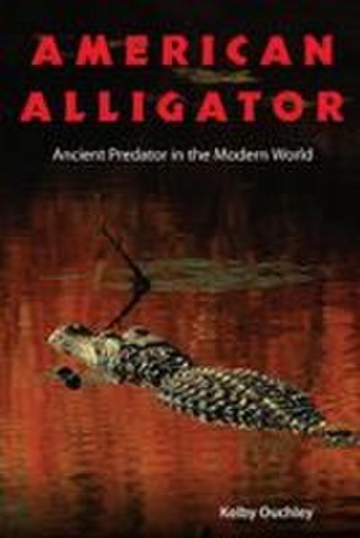 American Alligator