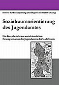 Sozialraumorientierung des Jugendamtes