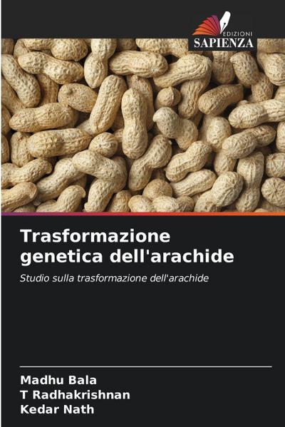 Trasformazione genetica dell’arachide