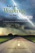 Let’s Go Walking in the Storm