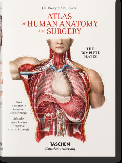 Jean Marc Bourgery. Atlas of Human Anatomy and Surgery: BU (Bibliotheca Universalis)