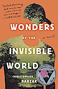 Wonders of the Invisible World