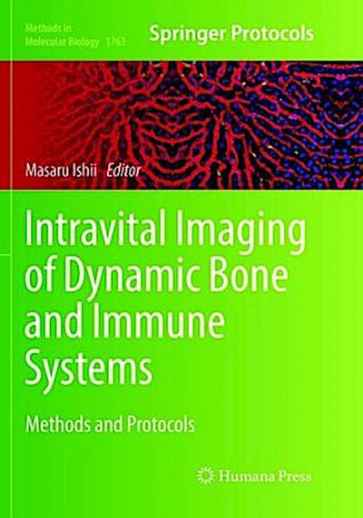 Intravital Imaging of Dynamic Bone and Immune Systems