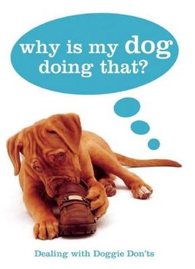 Why Is My Dog Doing That?: Dealing with Doggie Don’ts