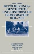 Bevölkerungsgeschichte und Historische Demographie